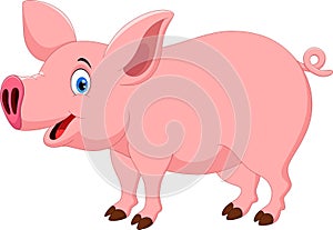 Illustration of cute and adorable pig cartoon