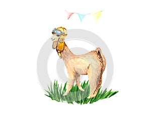 Illustration of a cute Alpaca pilot in a helmet with glasses on the green grass with a colorful garland of flags. Watercolor drawi