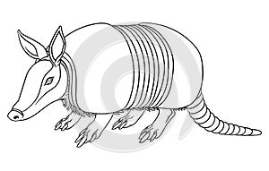 Illustration of a cute armadillo