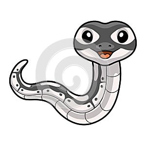 Cute axanthic ball python cartoon
