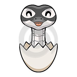 Cute axanthic ball python cartoon inside an egg