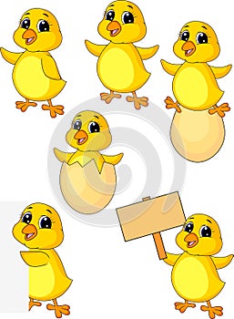 Cute baby chicken cartoon set