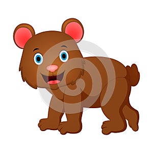 Cute bear illustration