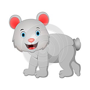 Cute bear illustration