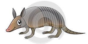 Armadillo photo