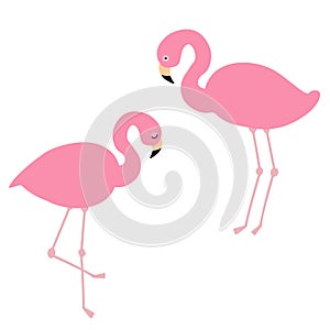 Illustration of cute cartoon flamingo on white background