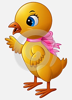 Cute cartoon little chicken with pink bow isolated on a white background