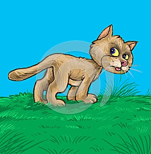 Illustration a cute cat eat grass in the field