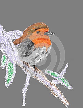 illustration of a cute and cute winter chirping bird