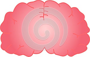 Illustration of a cute Gradation brain
