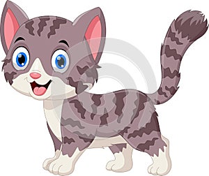 Illustration of cute grey cat cartoon