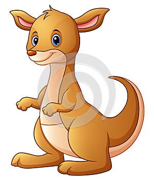 Cute kangaroo cartoon photo