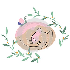 Illustration of a cute kitten sleeping curled up in a ball