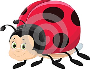 Illustration of cute ladybug cartoon