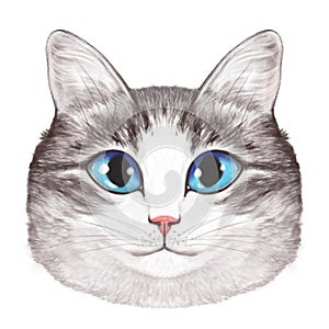 Illustration of a cute light tabby cat. Feline pleasant light charming portrait. A cat with blue eyes looking straight ahead. cat