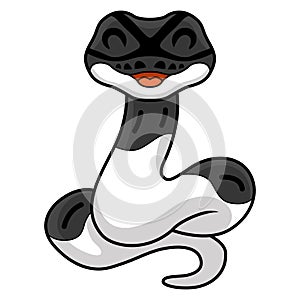 Cute panda pied ball python cartoon