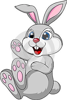 Cute rabbit bunny sitting