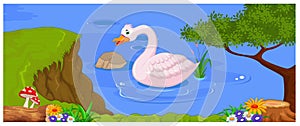 Cute swan floats on mountain river for you design