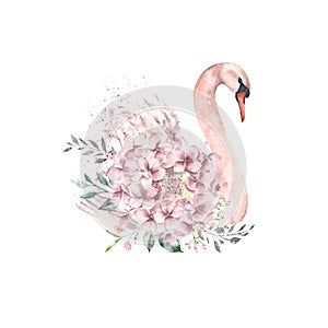Illustration of a cute swan with flowers and leaves decoration. Watercolor.