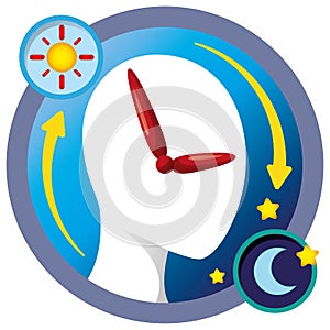 Illustration the cycle of a person`s biological clock. Ideal for visual communication and institutional photo
