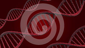 Illustration D N A or Deoxyribonucleic Acid, 3D model on a red background