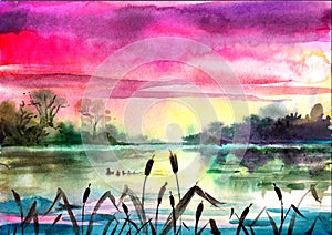 Illustration of dawn over the river in the reeds with a duck and ducklings. Watercolour.