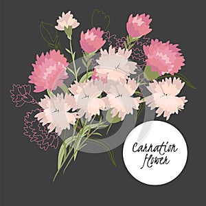 illustration Delicate carnation flower