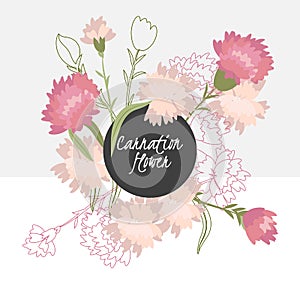 illustration Delicate carnation flower