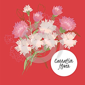 illustration Delicate carnation flower