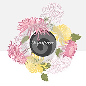 illustration Delicate chrysanthemum flower