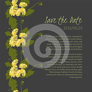 illustration Delicate Dandelion flower