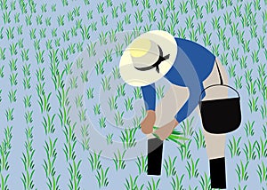 Illustration depicting a Vietnamese farmer planting rice