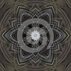 Illustration design and textures