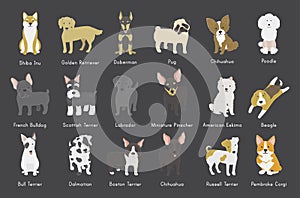 Illustration of different dog breeds