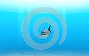 Illustration of a distant great white shark swimming through blue ocean water near a sandy seafloor