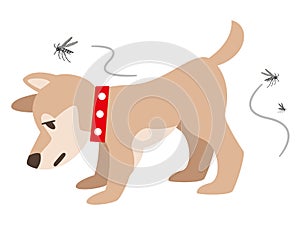 Illustration of a dog with a mosquito bite