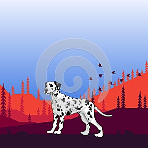 Illustration. Dog pedigree Dalmatian on the hunt, cartoon.