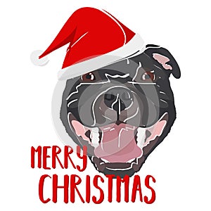 Illustration Dog Staffordshire Bull Terrier Merry Christmas