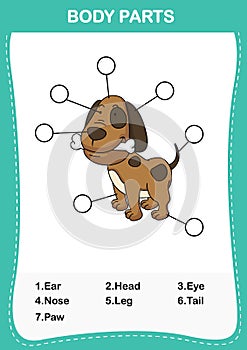 Illustration of dog vocabulary part of body