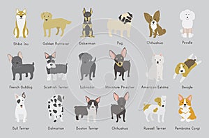 Illustration of dogs breed collection