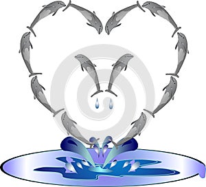 Illustration of Dolphins in a heart shape