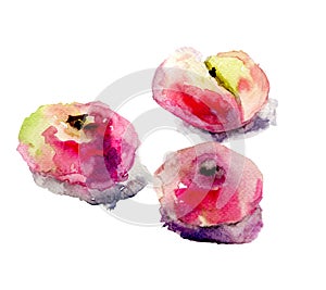 Illustration of Donut peaches