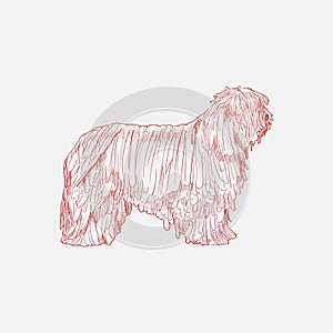 Illustration drawing style of dog