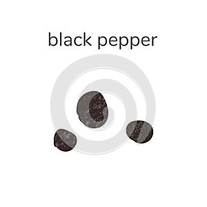 Illustration of dry black pepper seed spice isotated on white background. Hand drawn illustration