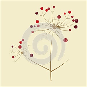 Illustration of a dry plant with red berries on a colored background.