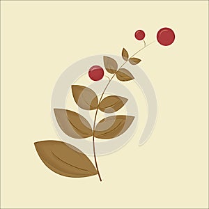 Illustration of a dry plant with red berries on a colored background.
