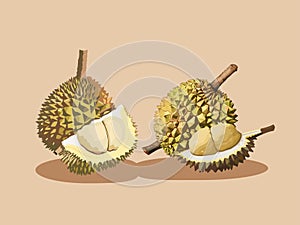 King of Fruits - Illustration of a Durian photo