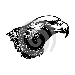 Illustration of eagle head in black and white style.