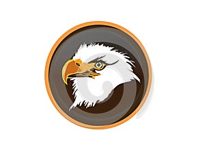 Illustration of eagle`s head with very sharp eyes