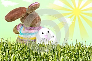 Easter bunny and bunny egg